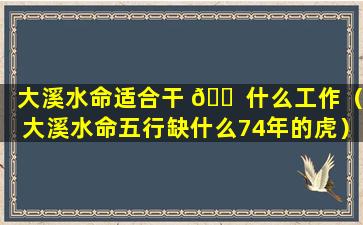 大溪水命适合干 🐠 什么工作（大溪水命五行缺什么74年的虎）